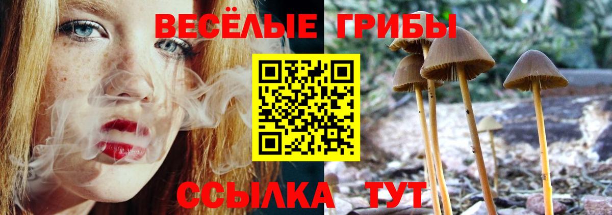 Дзержинский  Псилоцибиновые грибы GOLDEN TEACHER  Вход с VPN 